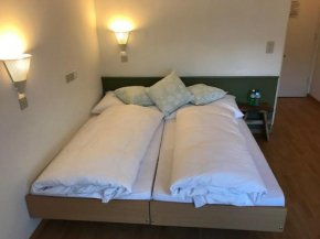 Отель Chamanna Bed & Breakfast, Ароза